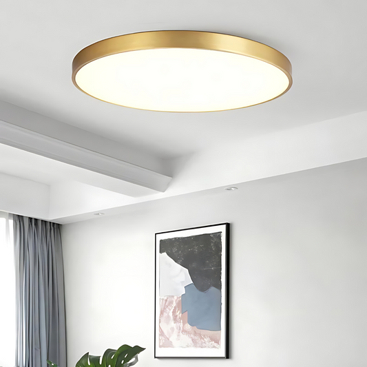 LED Ring Ceiling Light – Dimmable – Decorative Lighting for Indoor Use