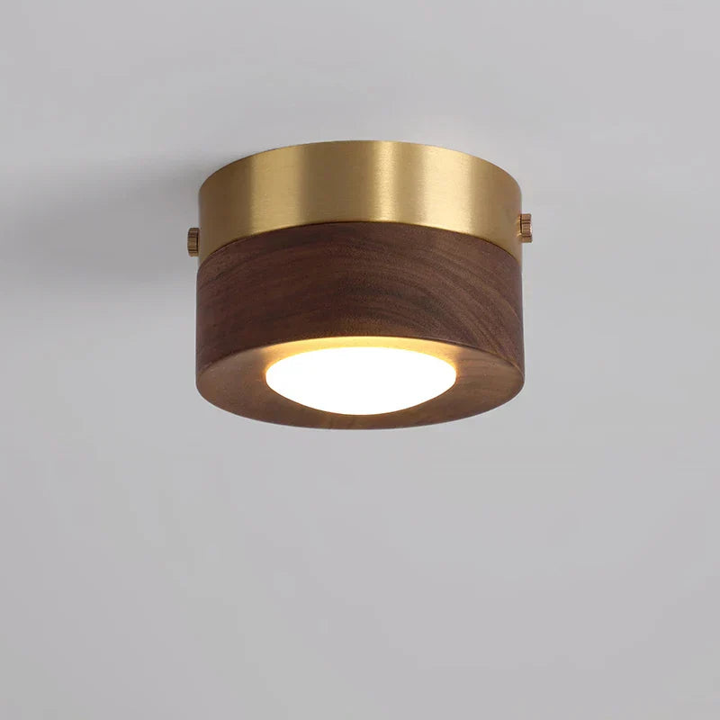 Minimalist Modern LED Ceiling Light – Integrated LED for Modern Interiors