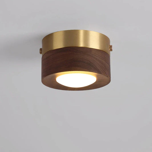 Minimalist Modern LED Ceiling Light – Integrated LED for Modern Interiors