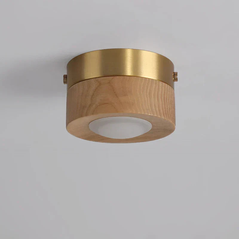 Minimalist Modern LED Ceiling Light – Integrated LED for Modern Interiors