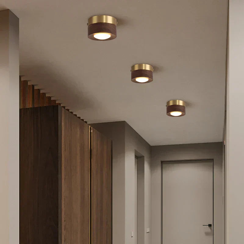 Minimalist Modern LED Ceiling Light – Integrated LED for Modern Interiors