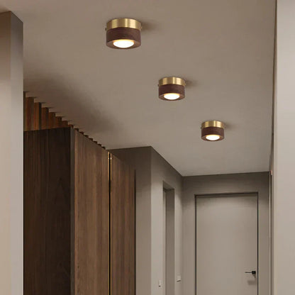 Minimalist Modern LED Ceiling Light – Integrated LED for Modern Interiors