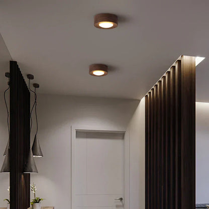 Minimalist Modern LED Ceiling Light – Integrated LED for Modern Interiors