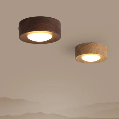 Minimalist Modern LED Ceiling Light – Integrated LED for Modern Interiors