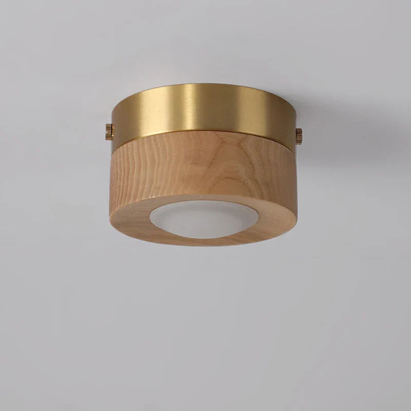 Minimalist Modern LED Ceiling Light – Integrated LED for Modern Interiors