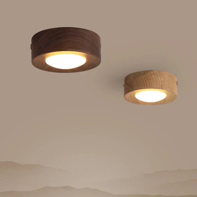 Minimalist Modern LED Ceiling Light – Integrated LED for Modern Interiors