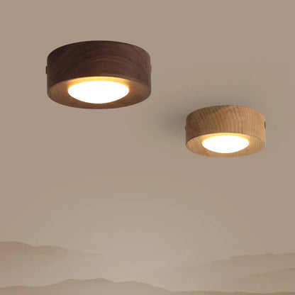 Minimalist Modern LED Ceiling Light – Integrated LED for Modern Interiors