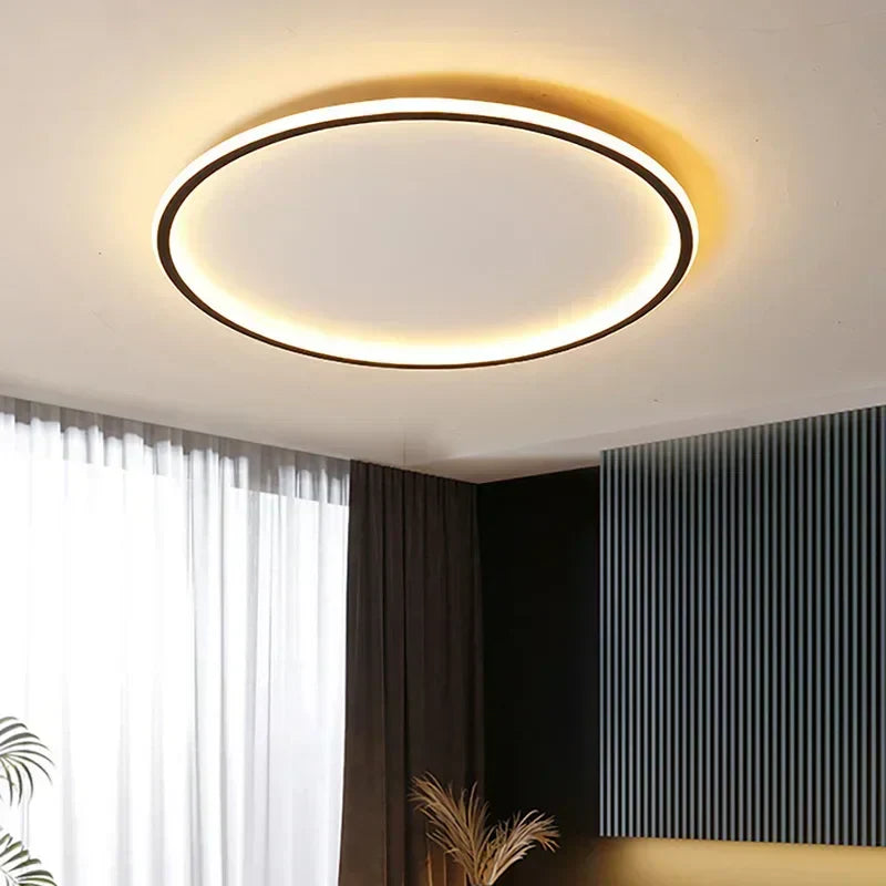 Modern ceiling light fixture in a room with curtains and a plant.